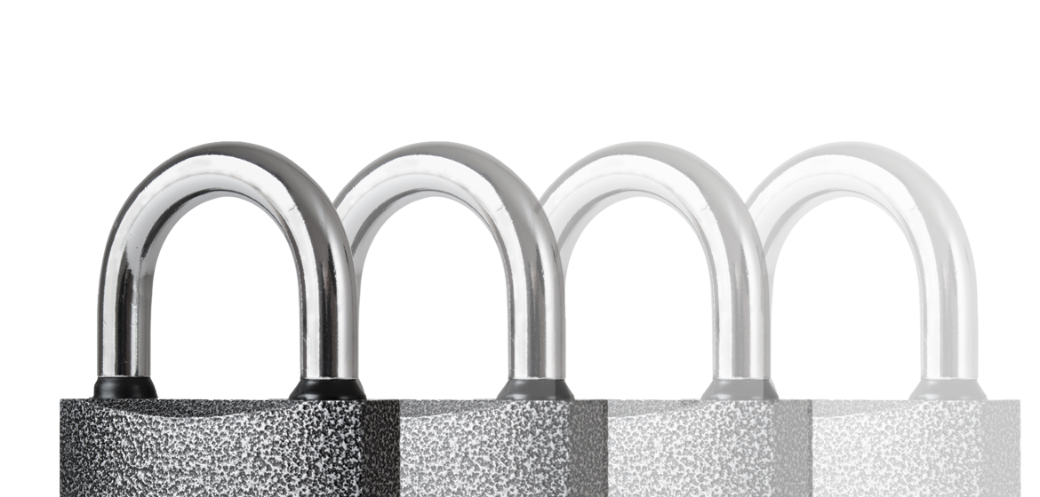 Secure Custom Redaction Process